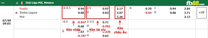 fb88-bảng kèo trận đấu Puebla vs Santos Laguna