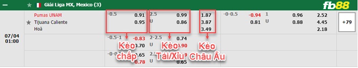 Fb88 bảng kèo trận đấu Pumas UNAM vs Club Tijuana