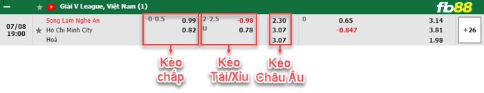 Fb88 bảng kèo trận đấu SLNA vs TP. HCM