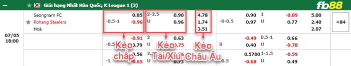 Fb88 bảng kèo trận đấu Seongnam vs Pohang Steelers