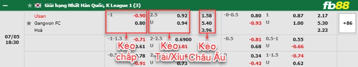 Fb88 bảng kèo trận đấu Ulsan vs Gangwon FC