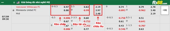 fb88-bảng kèo trận đấu Vancouver Whitecaps vs Minnesota