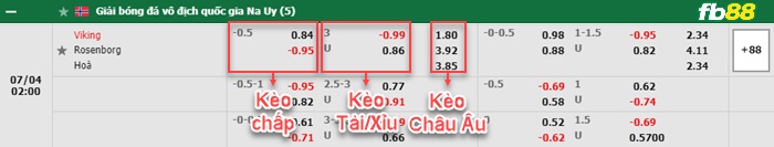 Fb88 bảng kèo trận đấu Viking vs Rosenborg