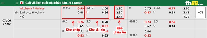 fb88-bảng kèo trận đấu Yokohama F Marinos vs Sanfrecce Hiroshima