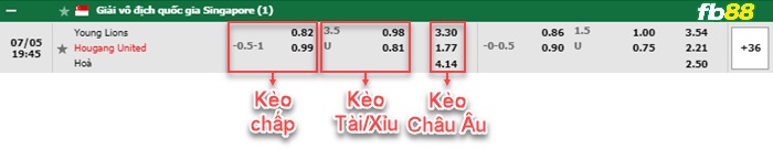 Fb88 bảng kèo trận đấu Young Lions vs Hougang