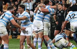 New Zealand 18-25 Argentina