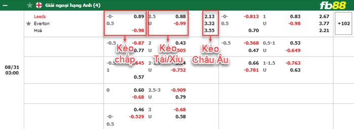 Fb88 bảng kèo trận đấu Leeds vs Everton