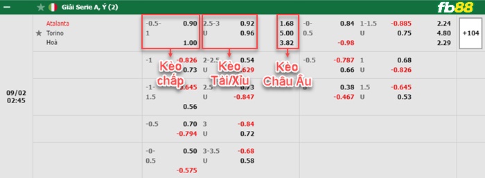 Fb88 bảng kèo trận đấu Atalanta vs Torino