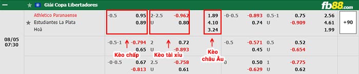 fb88-bảng kèo trận đấu Atletico Paranaense vs Estudiantes