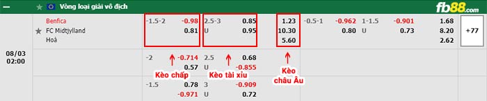 fb88-bảng kèo trận đấu Benfica vs Midtjylland