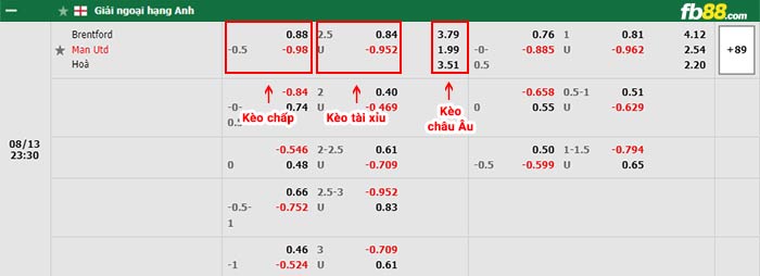fb88-bảng kèo trận đấu Brentford vs Man Utd
