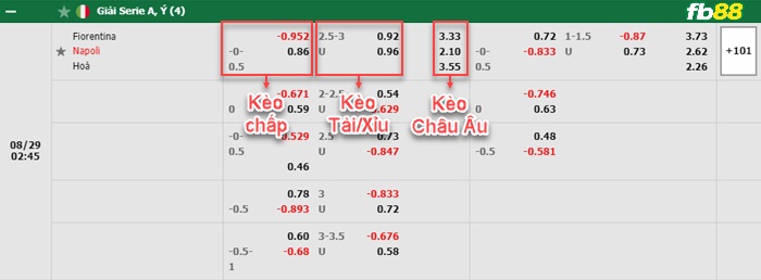 Fb88 bảng kèo trận đấu Fiorentina vs Napoli