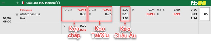 Fb88 bảng kèo trận đấu Juarez vs San Luis