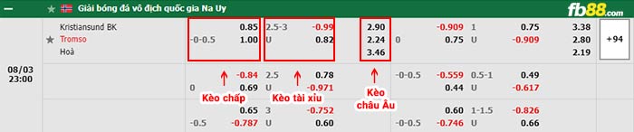 fb88-bảng kèo trận đấu Kristiansund vs Tromso