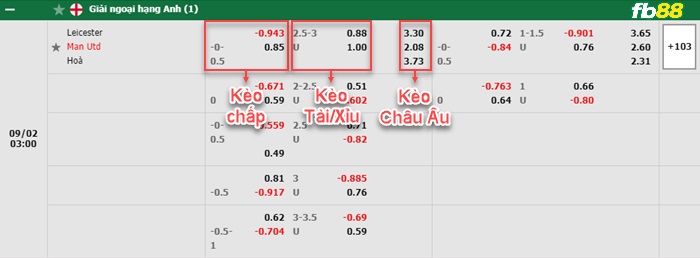 Fb88 tỷ lệ kèo trận đấu Bologna vs Salernitana