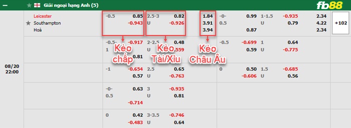 Fb88 bảng kèo trận đấu Leicester vs Southampton