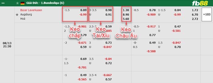 Fb88 bảng kèo trận đấu Leverkusen vs Augsburg