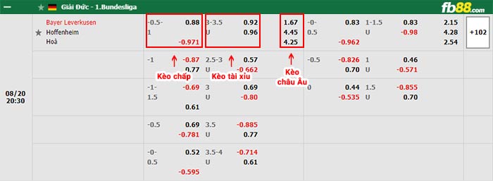 fb88-bảng kèo trận đấu Leverkusen vs Hoffenheim