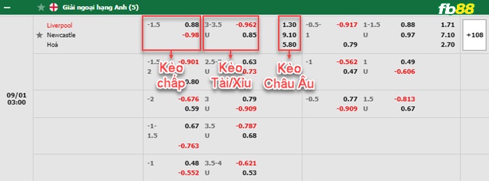 Fb88 bảng kèo trận đấu Liverpool vs Newcastle