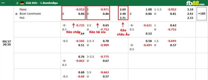 fb88-bảng kèo trận đấu Mainz vs Leverkusen