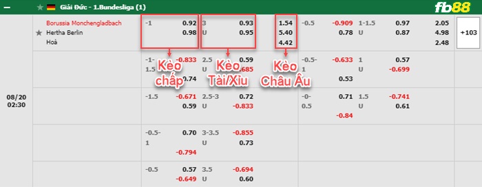 Fb88 bảng kèo trận đấu Monchengladbach vs Hertha Berlin