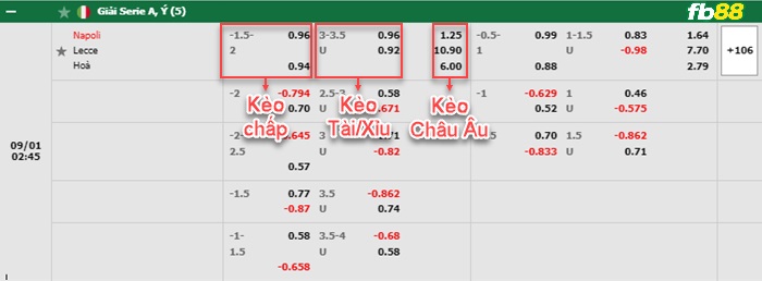 Fb88 bảng kèo trận đấu Napoli vs Lecce
