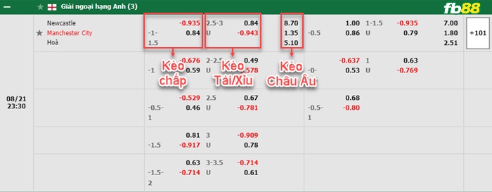 Fb88 bảng kèo trận đấu Newcastle vs Man City