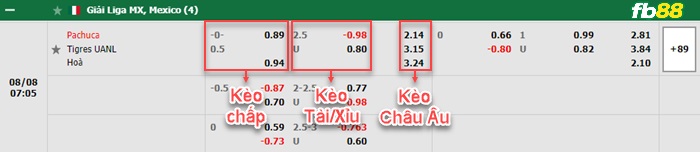 Fb88 bảng kèo trận đấu Pachuca vs Tigres UANL