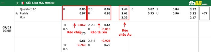 fb88-bảng kèo trận đấu Queretaro vs Puebla