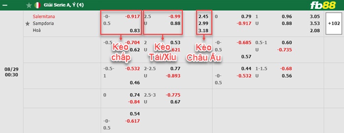 Fb88 bảng kèo trận đấu Salernitana vs Sampdoria