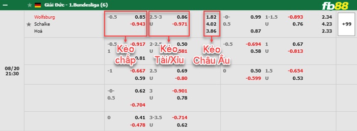 Fb88 bảng kèo trận đấu Wolfsburg vs Schalke