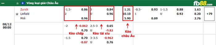fb88-bảng kèo trận đấu Zurich vs Linfield