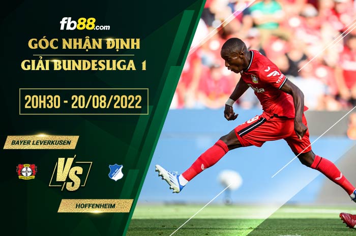 Soi kèo Leverkusen vs Hoffenheim 20h30 ngày 20/8/2022