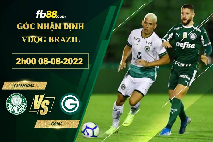 Fb88 soi kèo trận đấu Palmeiras vs Goias