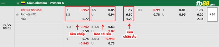 fb88-bảng kèo trận đấu Atletico Nacional vs Patriotas