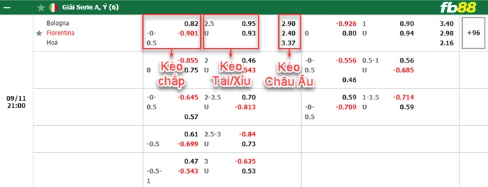 Fb88 bảng kèo trận đấu Bologna vs Fiorentina