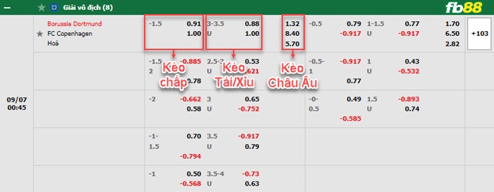 Fb88 bảng kèo trận đấu Dortmund vs Cobenhagen