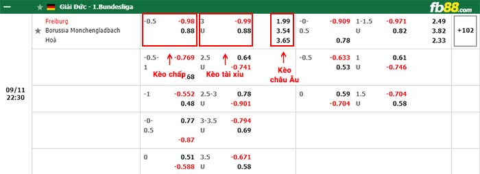 fb88-bảng kèo trận đấu Freiburg vs Monchengladbach