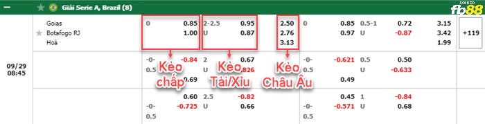 Fb88 bảng kèo trận đấu Goias vs Botafogo