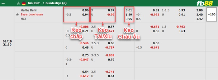 Fb88 bảng kèo trận đấu Hertha Berlin vs Leverkusen