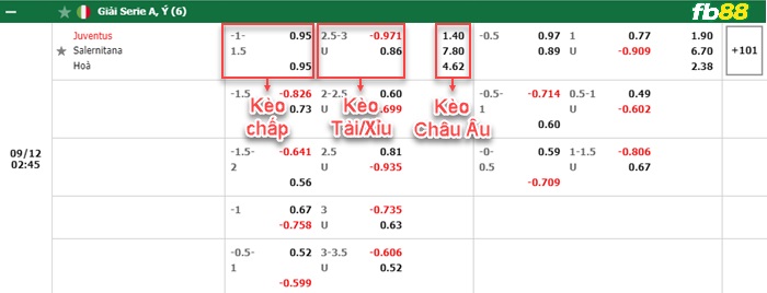Fb88 bảng kèo trận đấu Juventus vs Salernitana
