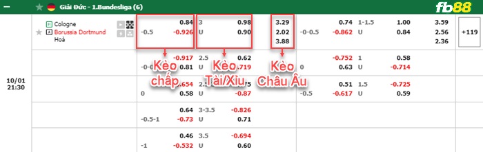 Fb88 bảng kèo trận đấu Koln vs Dortmund