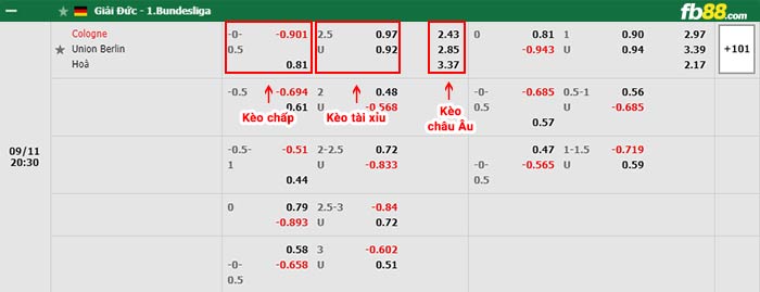 fb88-bảng kèo trận đấu Koln vs Union Berlin