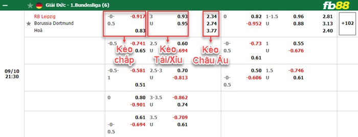 Fb88 bảng kèo trận đấu Leipzig vs Dortmund