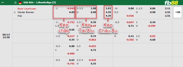 Fb88 bảng kèo trận đấu Leverkusen vs Werder Bremen