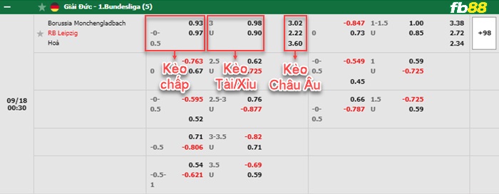 Fb88 bảng kèo trận đấu Monchengladbach vs Leipzig