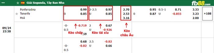 fn88-bảng kèo trận đấu Ponferradina vs Tenerife