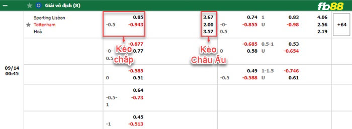 Fb88 bảng kèo trận đấu Sporting Lisbon vs Tottenham