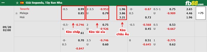 fb88-bảng kèo trận đấu Tenerife vs Malaga