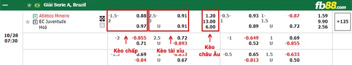 fb88-bảng kèo trận đấu Atletico Mineiro vs Juventude